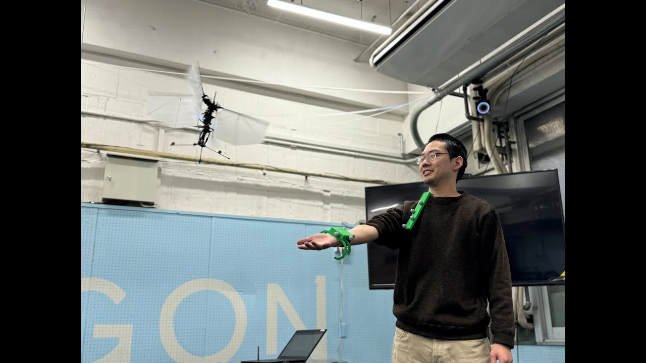 Smart Palm Landing for Flapping-Wing Drones