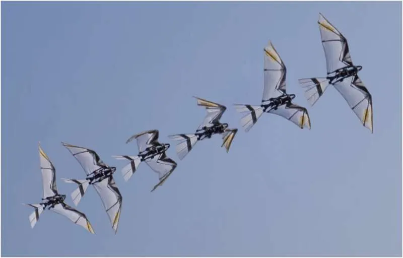 New Bird-Robot Wing Mimics Natural Takeoff
