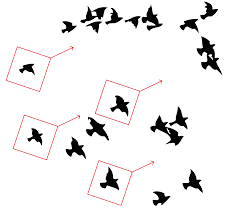 BCMS Ventur a Drone & Bird Detection Solution